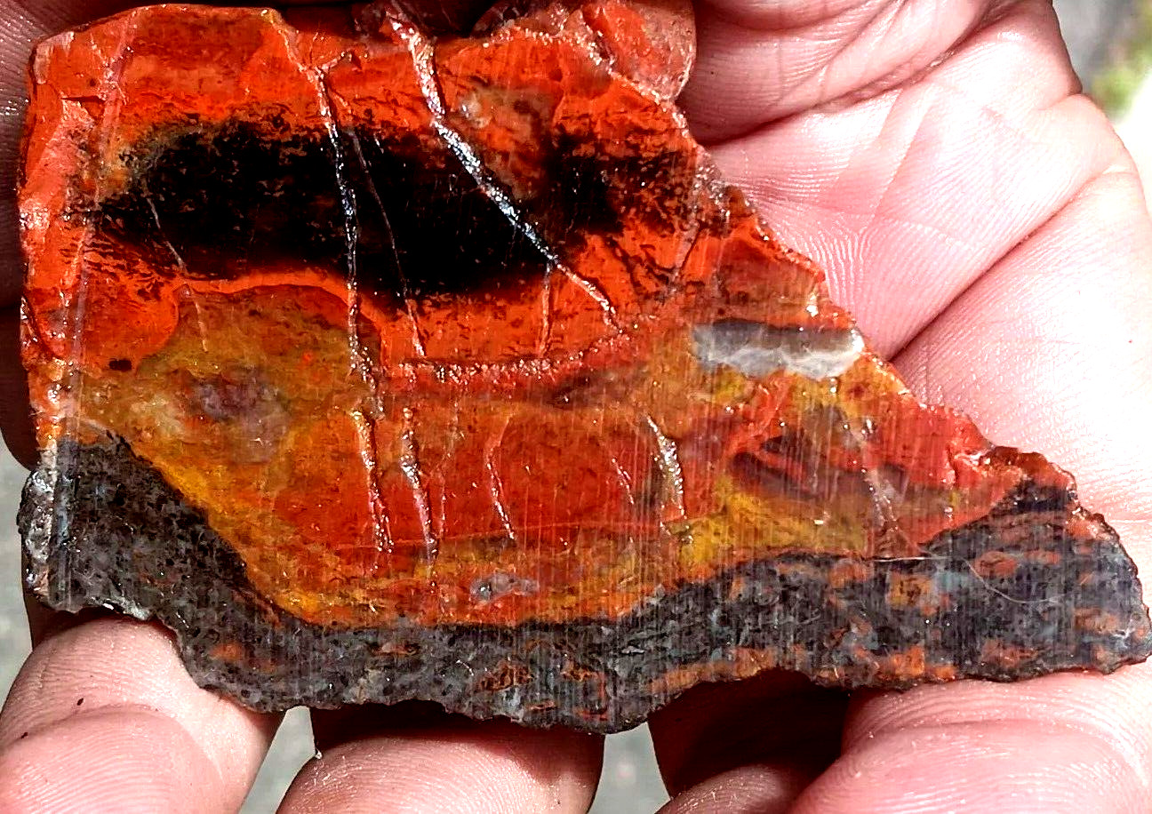 Volcanic PetrifiedWood LimbCasting  Smoky Quartz Red  Mineral Ring Volcano Crust