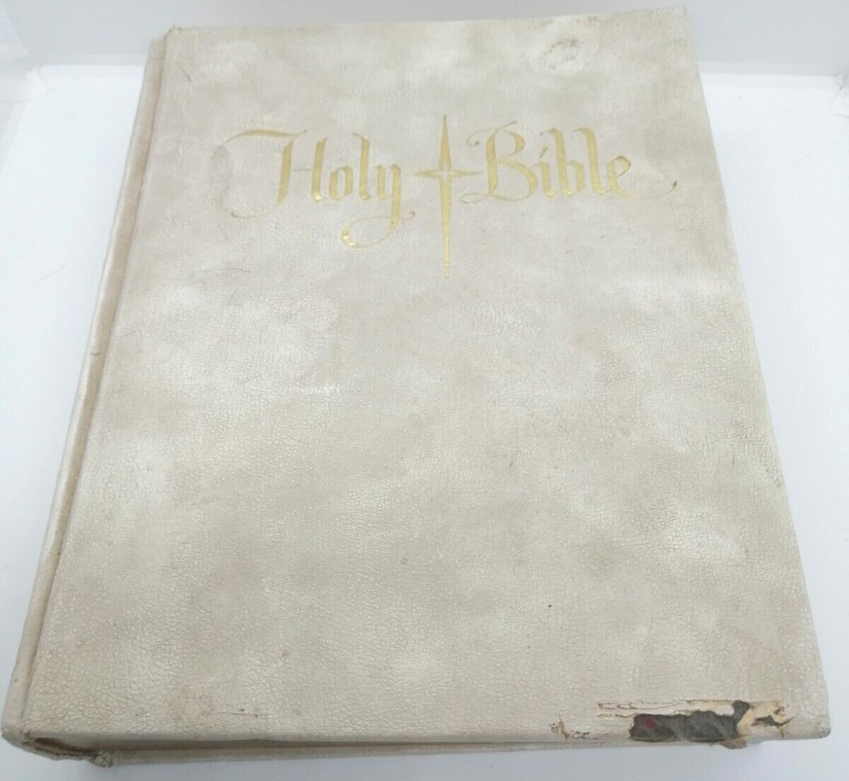 HOLY BIBLE Big 11x8.8\