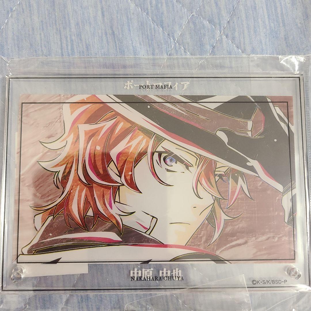 Bungo Stray Dogs Acrylic Stand Trading Ani-Art Can Badge Bunst Japan