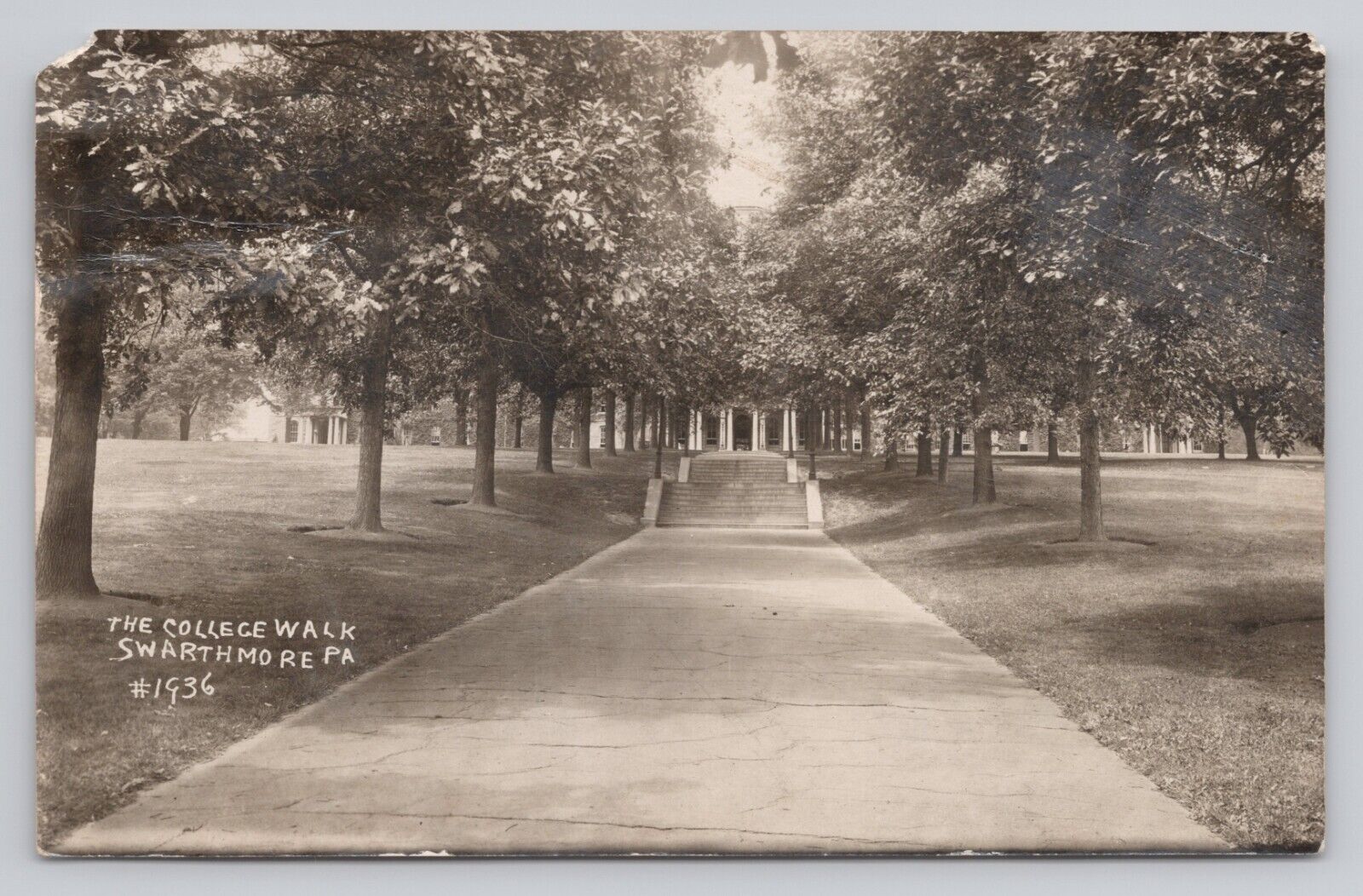 The College Walk Swarthmore Pennsylvania Real Photo RPPC c1922