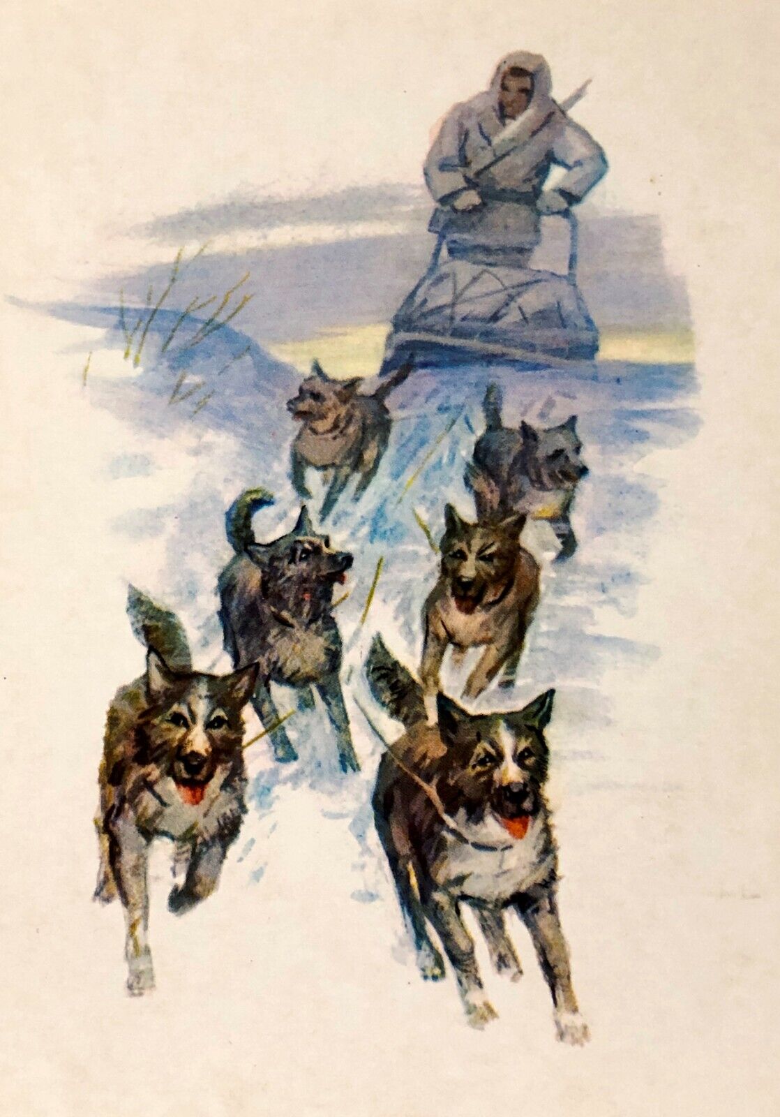 1972 Russian North Chukotka Sled Dogs Vintage Postcard