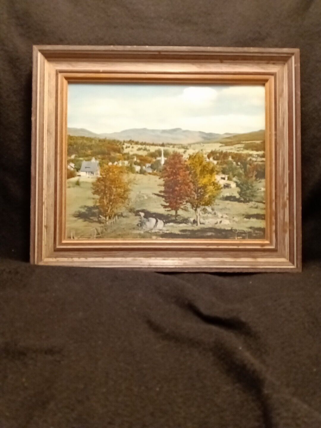 Charles Sawyer Hand Colored Photo 8x10 framed 12 1/2x10 1/2 Mount Mansfield 