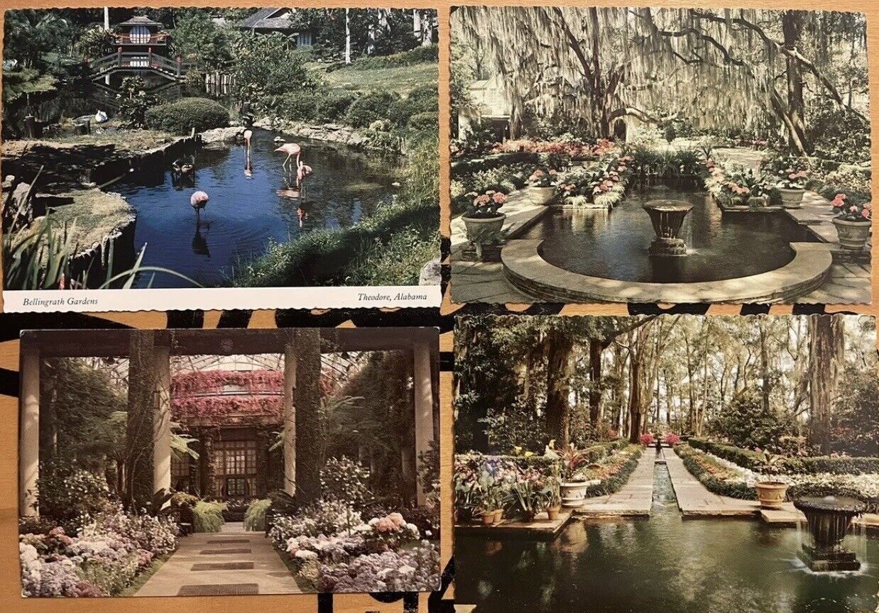 Vintage Unposted Tropical Botanical Garden Post Cards Pink Flamingo Alabama 