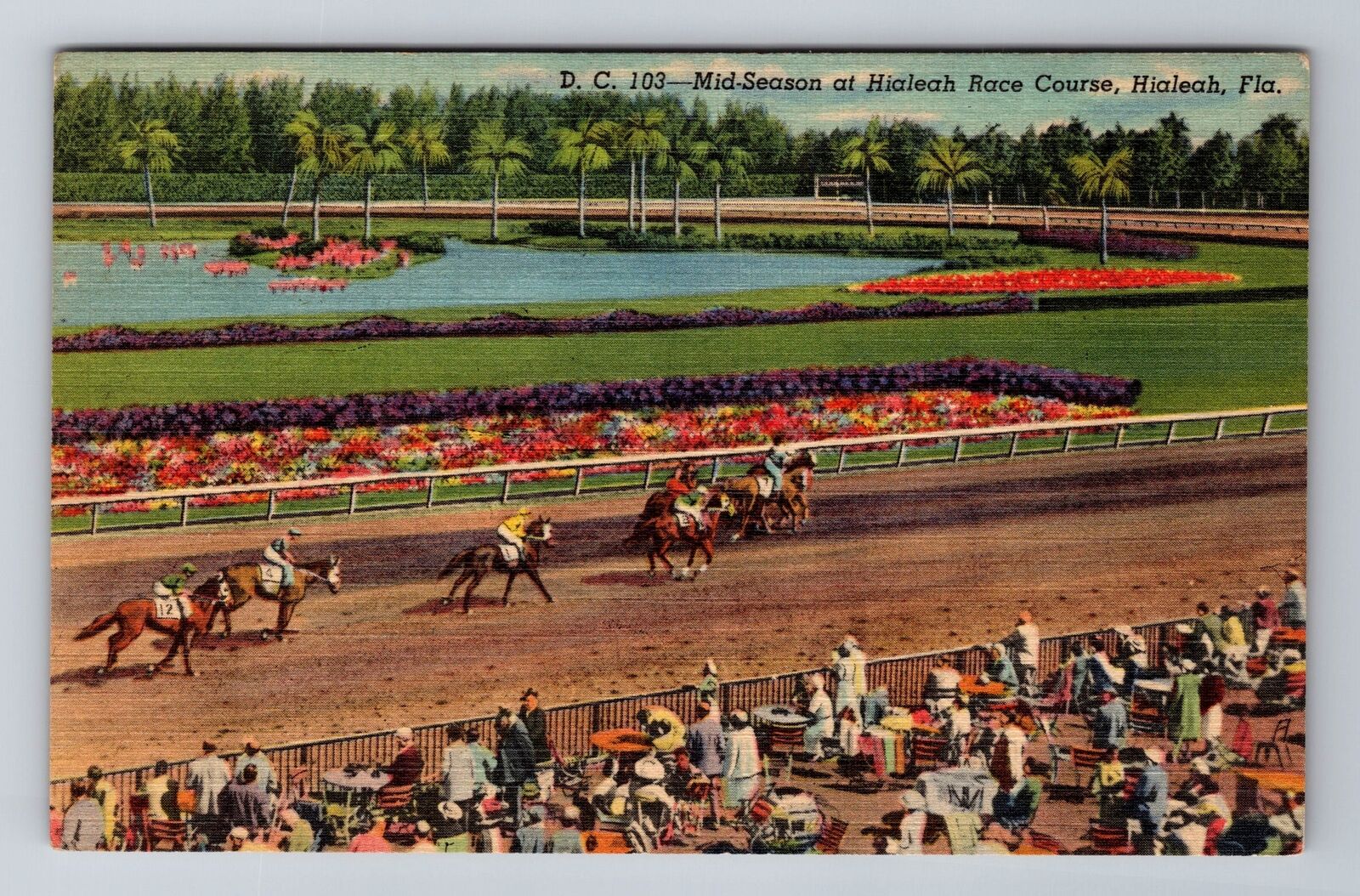 Hialeah FL-Florida, Hialeah Race Course Mid Season Antique, Vintage Postcard