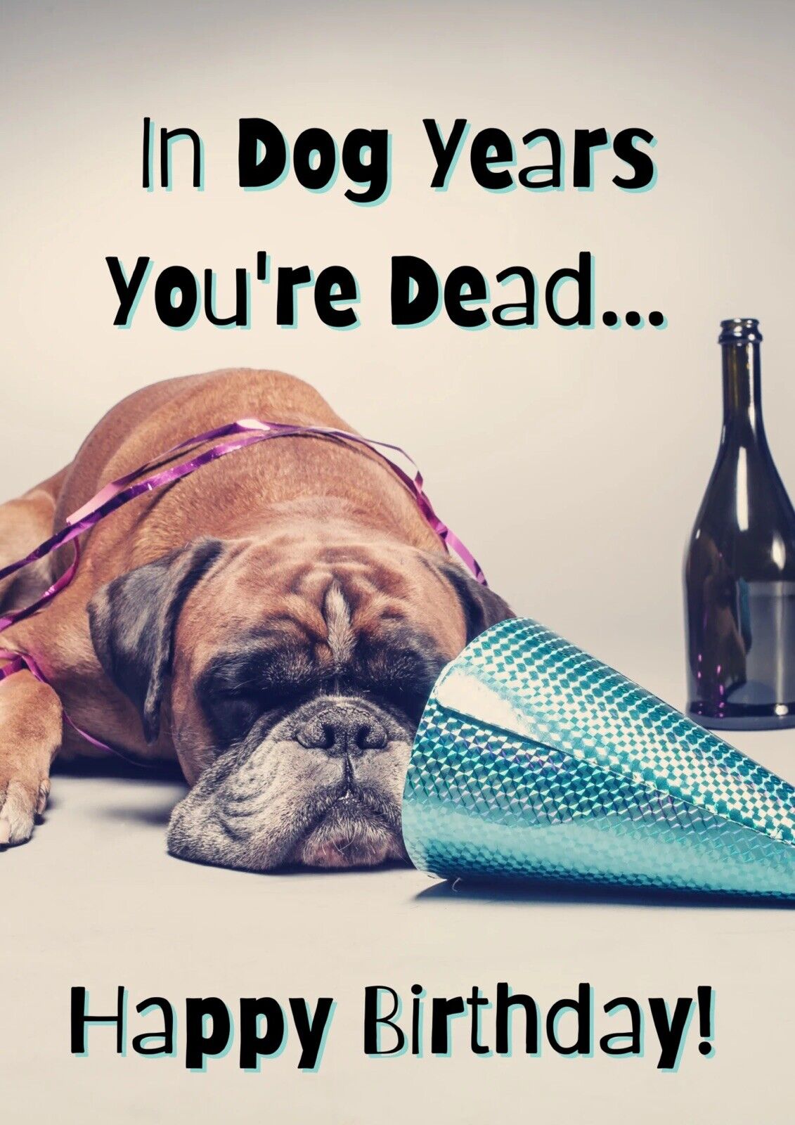 In Dog Years You’re Dead Dog Funny Greeting Card, Cute, Grey Grumpy Cat BNIB