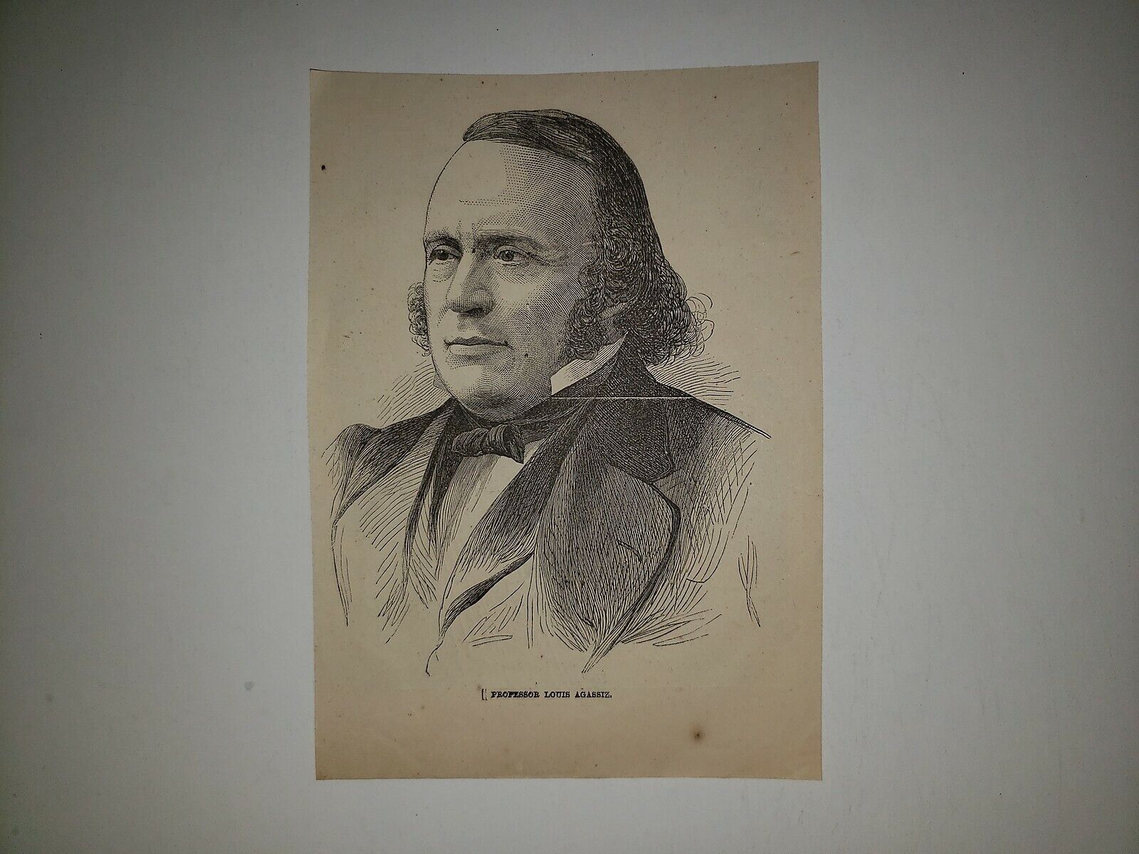 Professor Louis Agassiz 1869 Woodcut Sketch VERY RARE