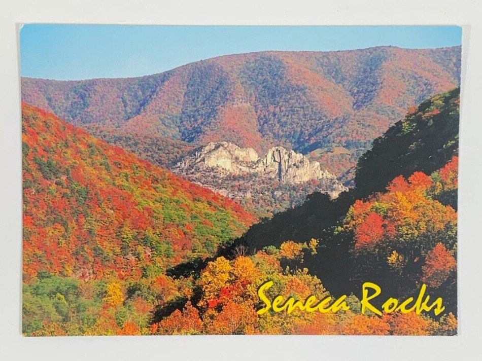 Seneca Rocks Pendleton County West Virginia Postcard Unposted