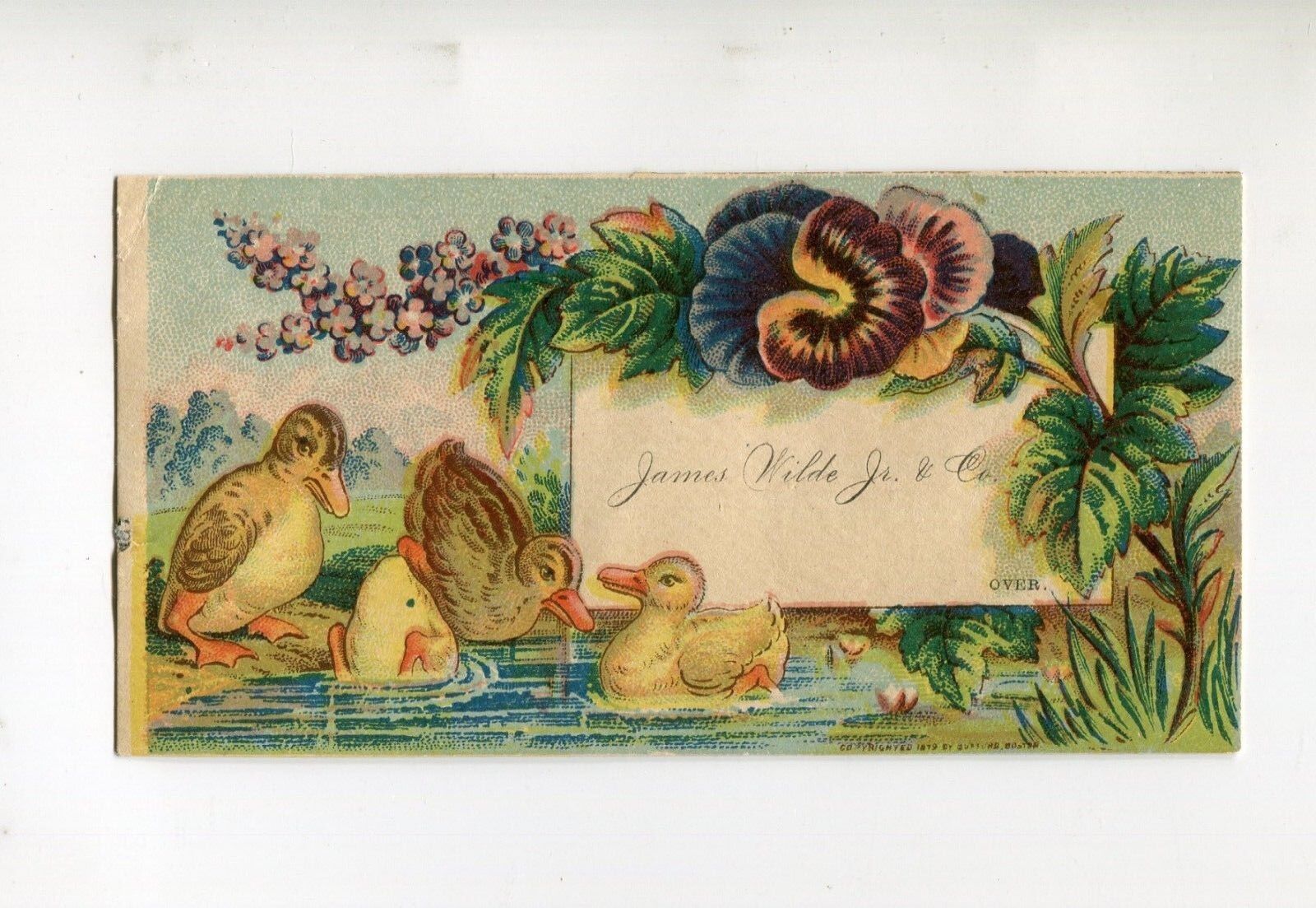 Victorian Trade Card JAMES WILDE OVERCOATS & ULSTERETTES Chicago ducks pansy