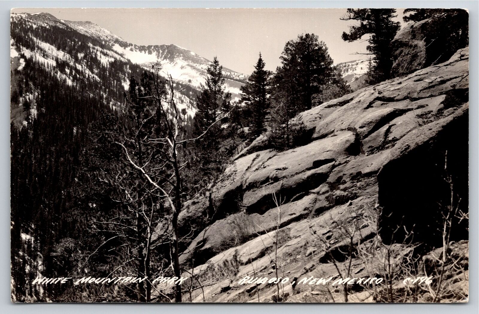 RPPC~Ruidoso NM~Scenery @ White Mountain Wilderness Park~Real Photo Postcard