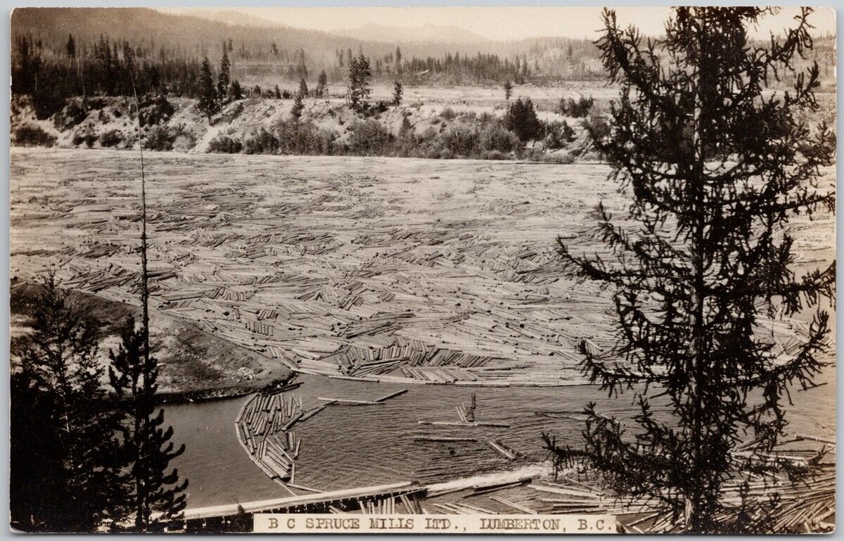 BC Spruce Mills Lumberton British Columbia Ghost Town Unused RPPC Postcard H62