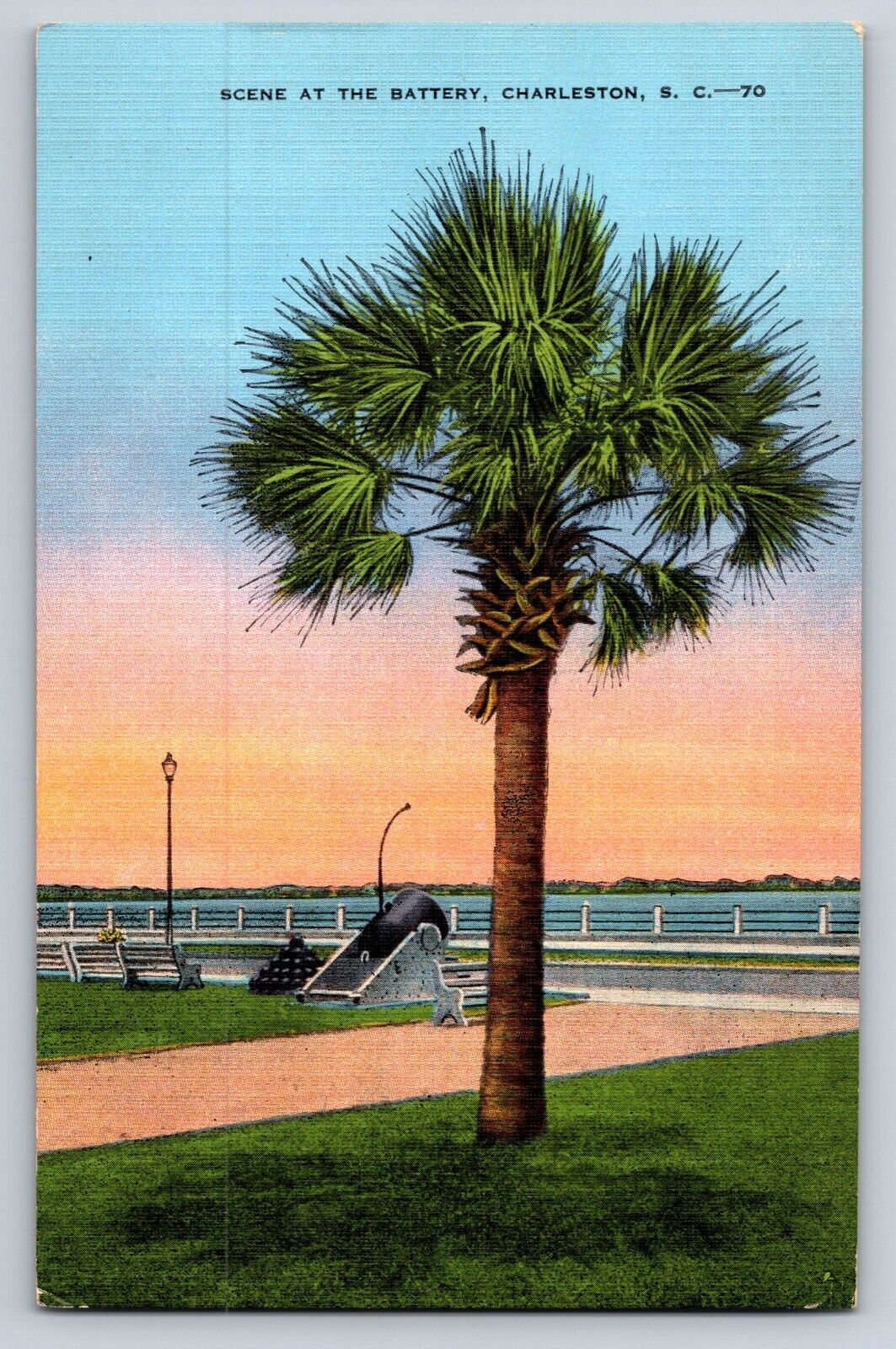 Postcard Palmetto Tree At The Battery Charleston South Carolina Unposted Linen