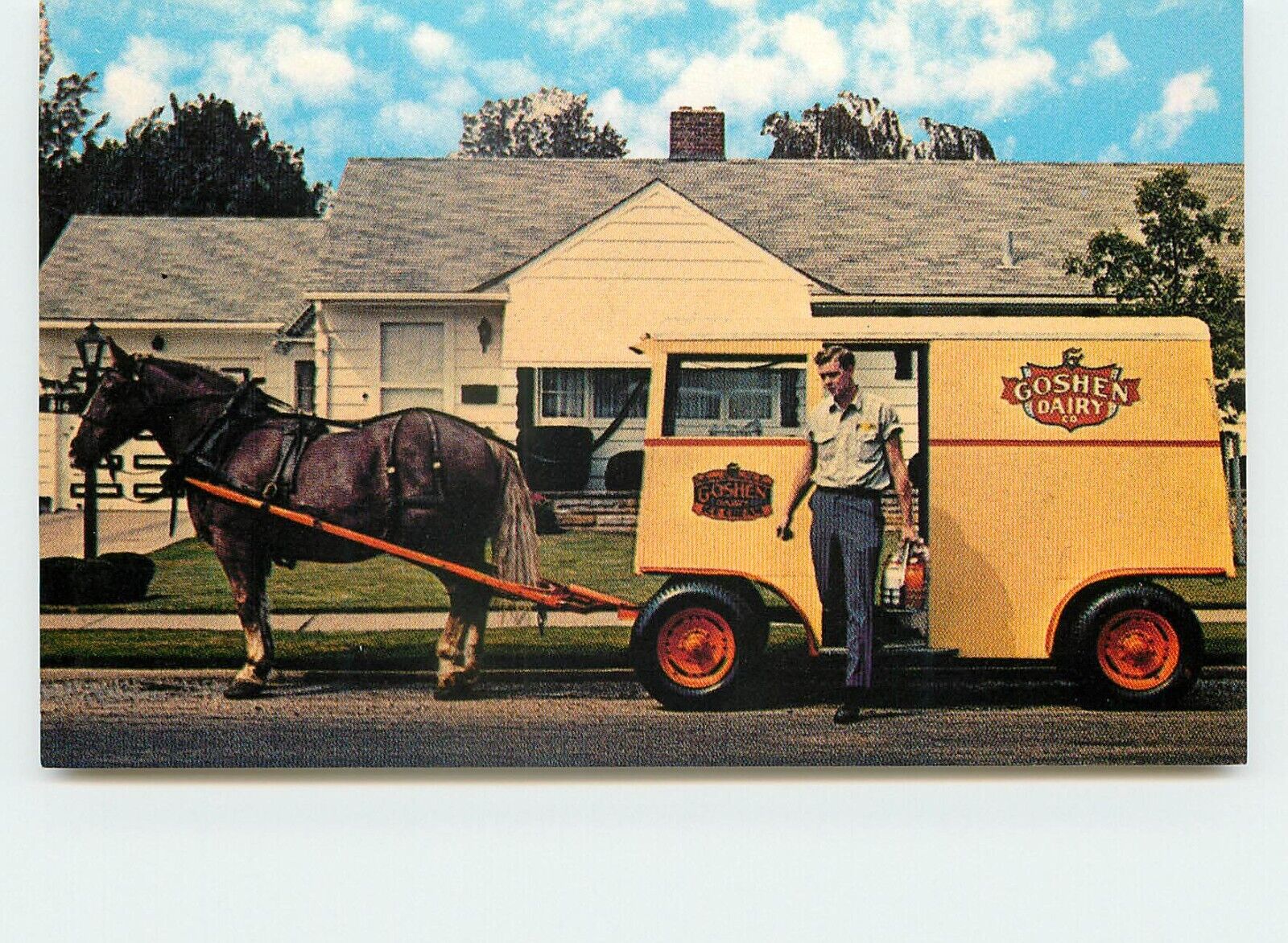 Postcard - Goshen Dairy - Horsedrawn Milk Wagon - Dewey