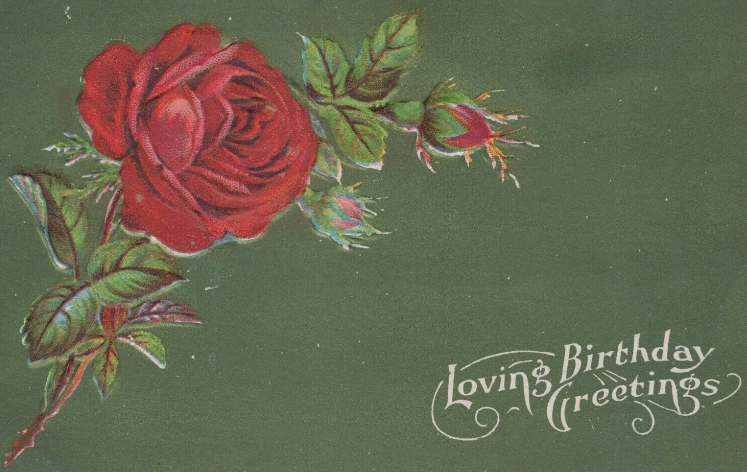 Loving Birthday Greetings - Blooming Rose Embossed Undivided Back VTG Post Card