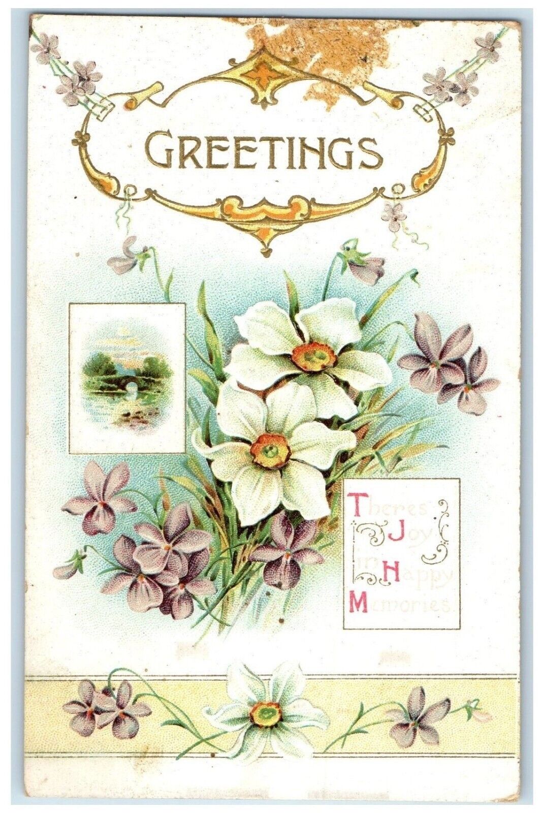 1909 Greetings TJHM Flowers Embossed Rye Colorado CO Posted Antique Postcard