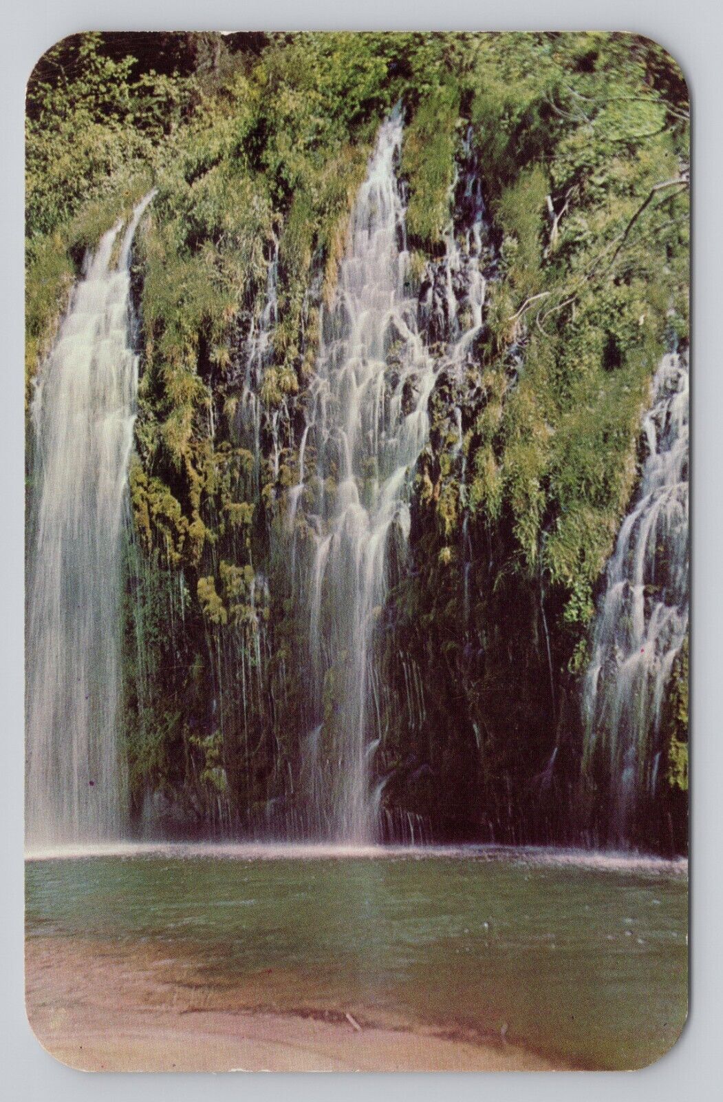 Moss Brae Falls Waterfalls Near Dunsmuir CA Shasta Spring Water Postcard