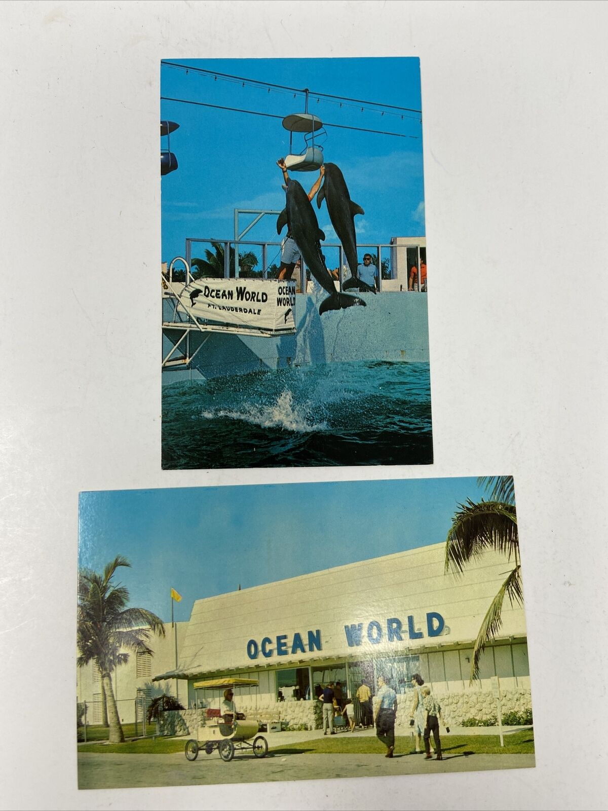 2 Ocean World Postcards Entrance & Dolphins Jumping Chrome Ft. Lauderdale FL
