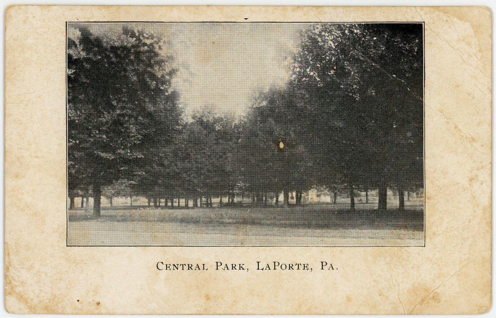 Central Park LaPorte Pennsylvania Antique Postcard Trees Landscape