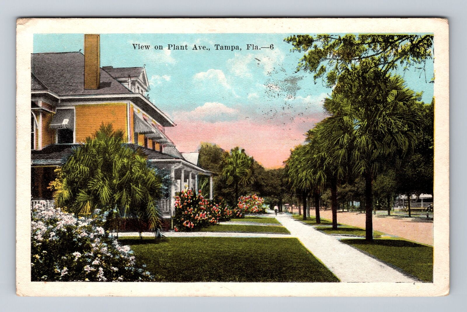 Tampa FL-Florida, Residential District, Plant Avenue, Antique Vintage Postcard