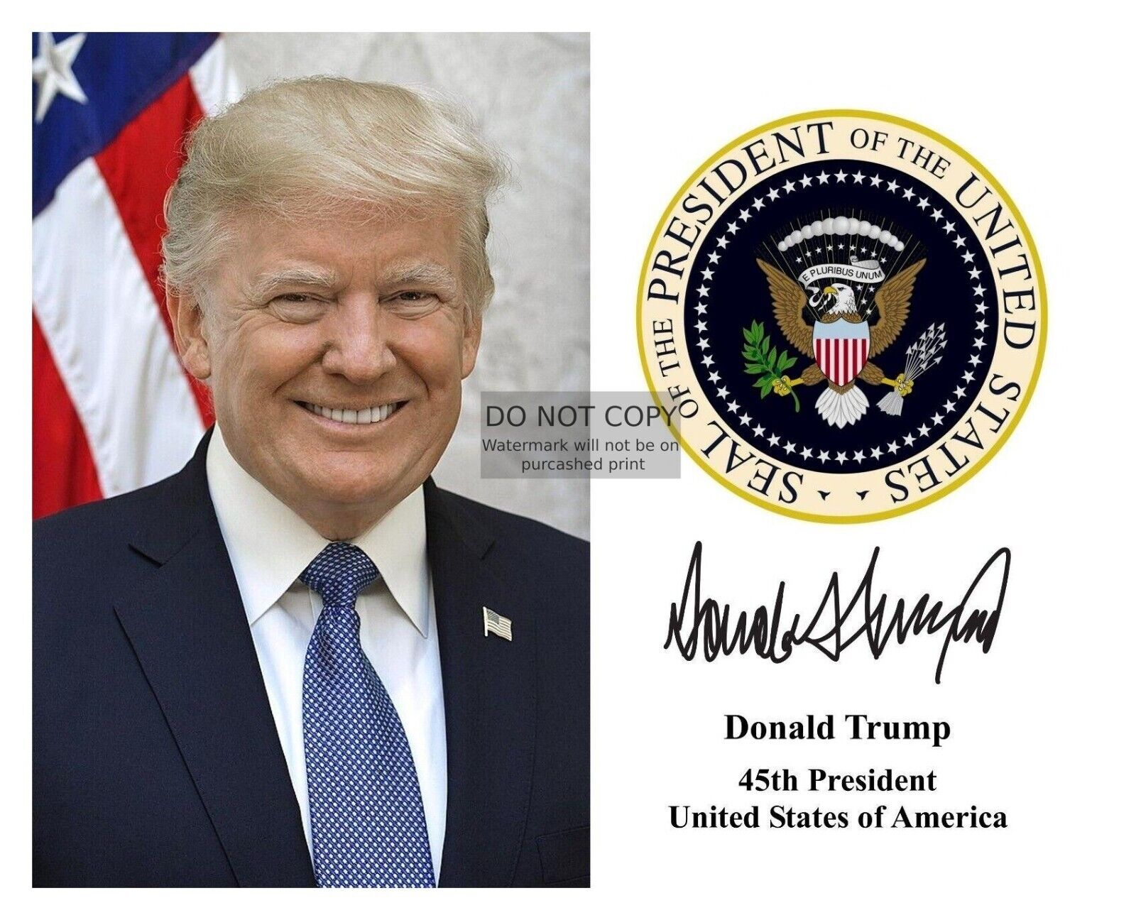 PRESIDENT DONALD TRUMP PRESIDENTIAL SEAL AUTOGRAPHED 8X10 PHOTOGRAPH