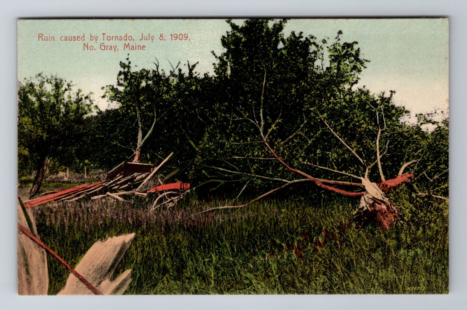 North Gray ME-Maine, Ruins From July 8,1909 Tornado, Antique Vintage Postcard