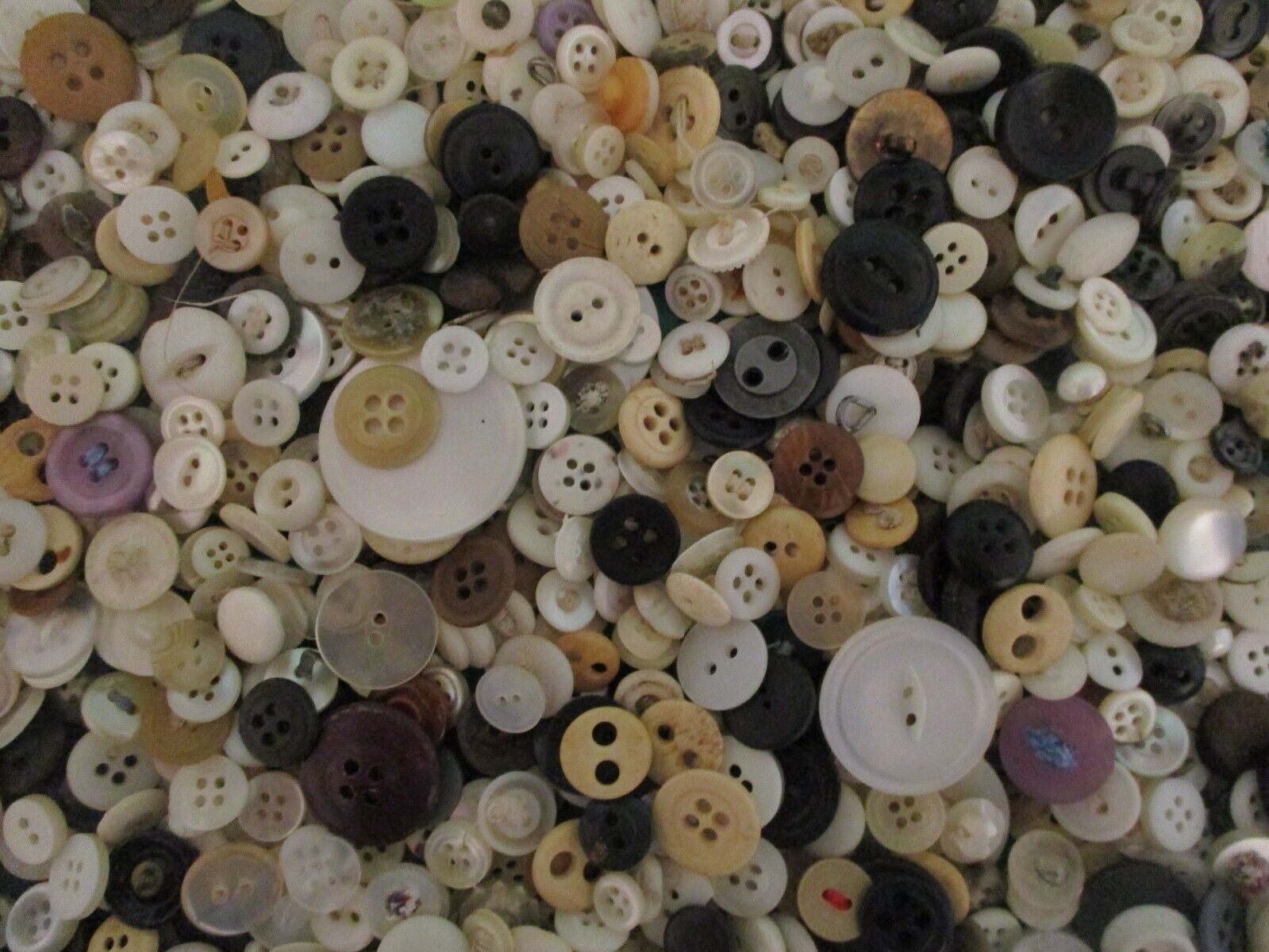Huge Mixed Lot Vintage Buttons 1 1/2 Lbs. Used Clean Washed White Black Colors