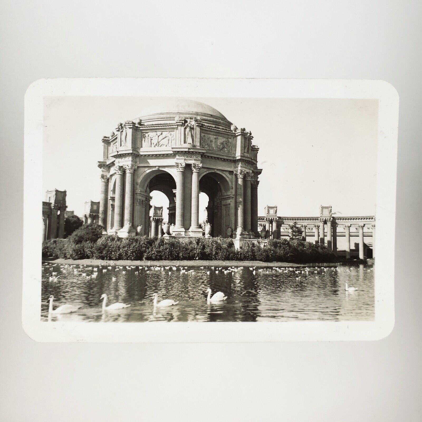 Palace of Fine Arts Swans Photo 1930s San Francisco California Theatre A2987