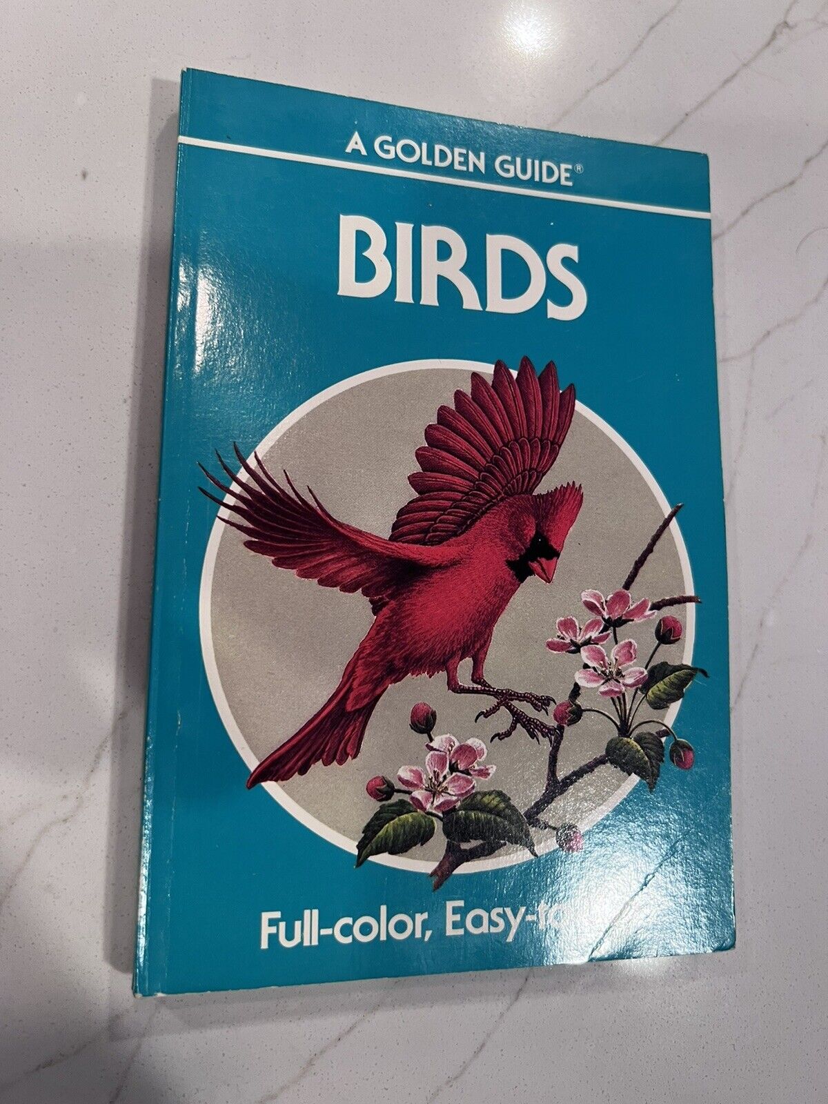 BIRDS A Golden Guide 1987 Vintage Pocket Paperback Field Guide Herbert S. Zim