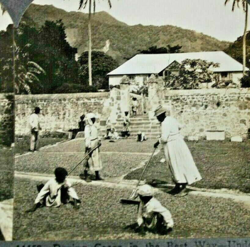 C.1910s Cocoa Farming. Child Labor. Caribbean Island. Dominica. Chocolate. VTG