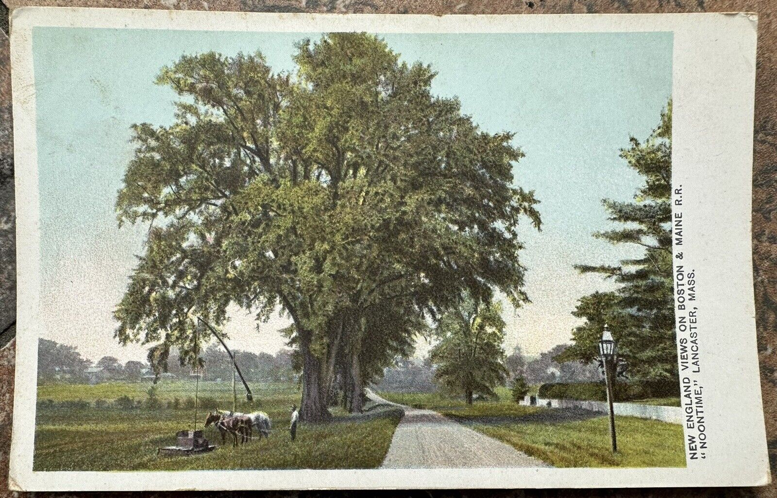 Lancaster MA-Massachusetts, Scenic Farm view, Horses, Antique Vintage Postcard
