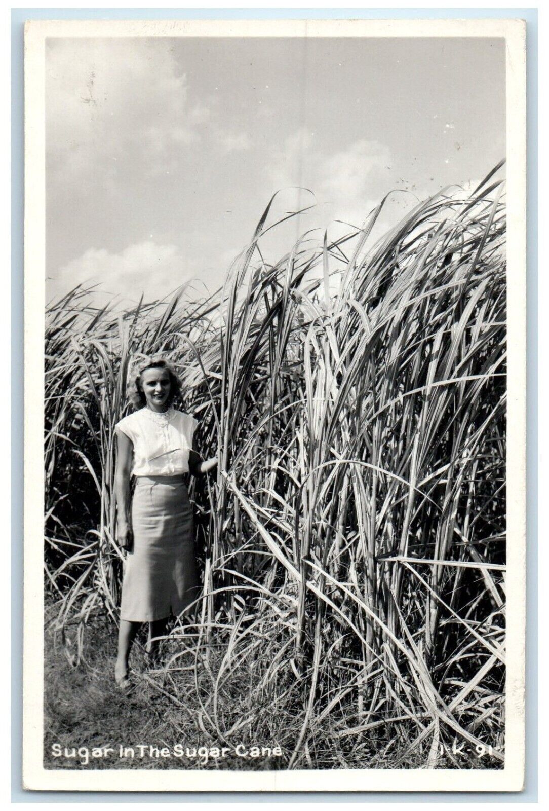 c1950's Woman In Sugar In The Sugar Cane Cline RPPC Photo Vintage Postcard