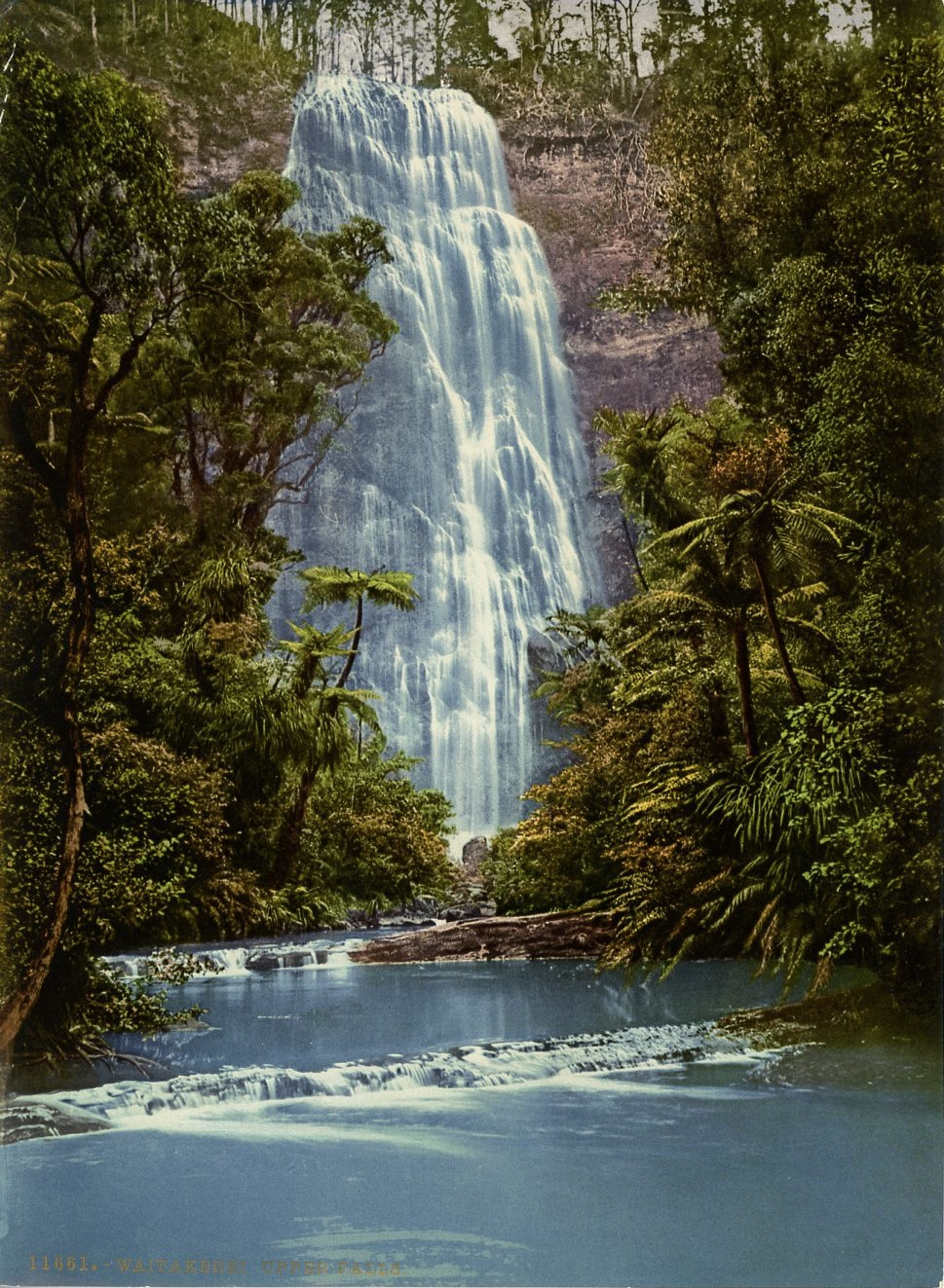 Waitakery. Upper Falls. Vintage Photochromie PZ, New Zealand Photochromi
