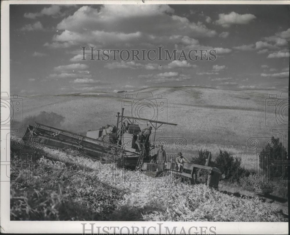 1950 Press Photo Agriculture- Harvest Scenes - spa48470