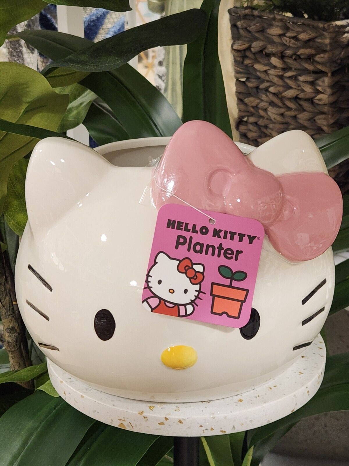 Hello Kitty Large Planter New Sanrio 2024 Pink Bow garden ceramic Hand Painted