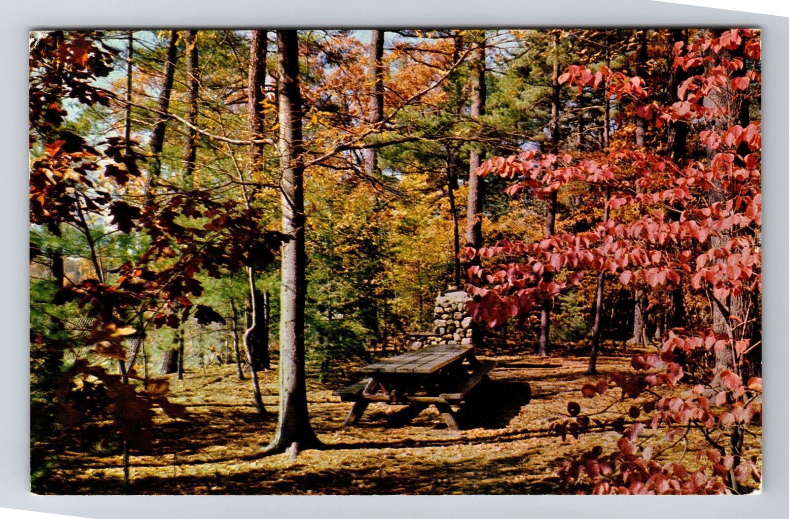 Westfield MA- Massachusetts, Picnic Area In Stanley Park, Vintage Postcard