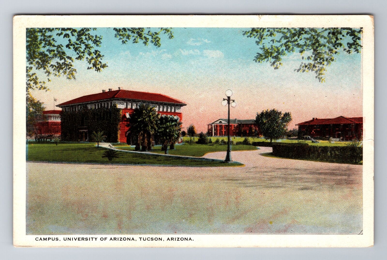 Tucson AZ-Arizona, Campus, University Of Arizona, Antique, Vintage Postcard