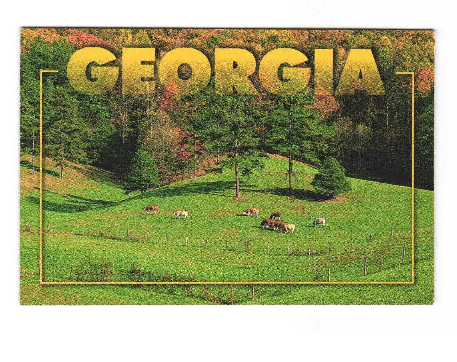 Georgia\'s Autumn Splendor Paints the Mountains in a Fiery Hue Postcard 4x6