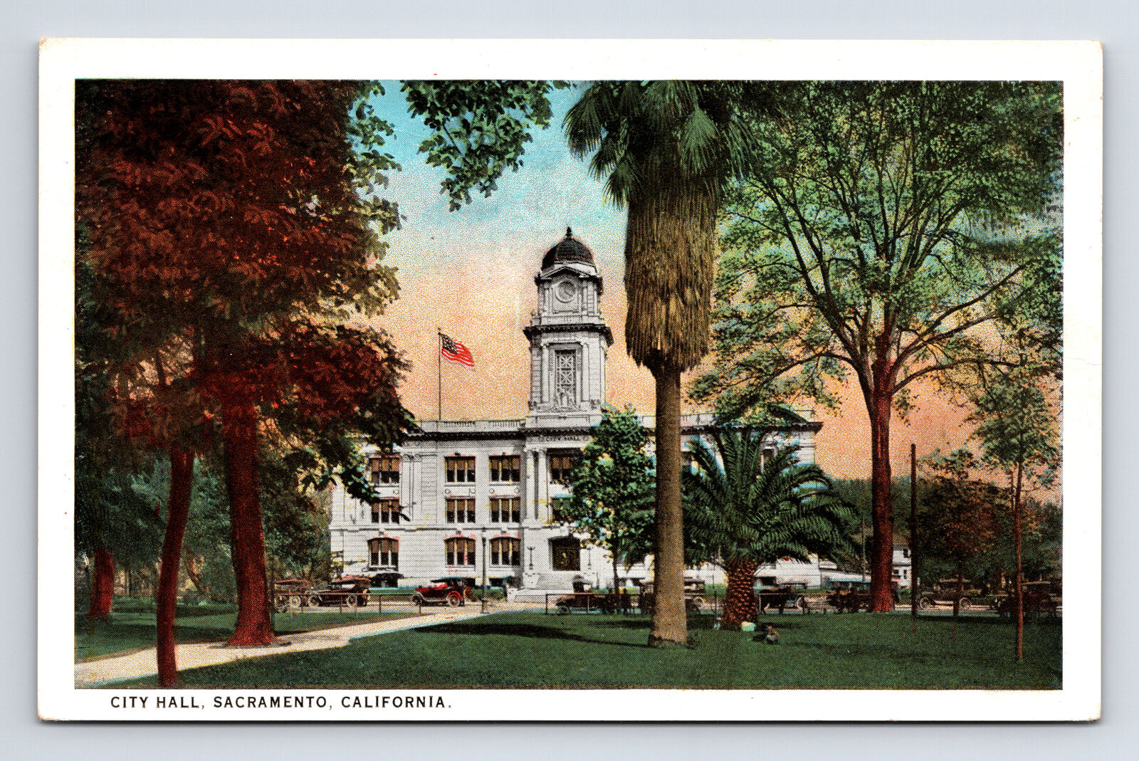 City Hall Palm Trees Cars Sacramento California CA WB Postcard