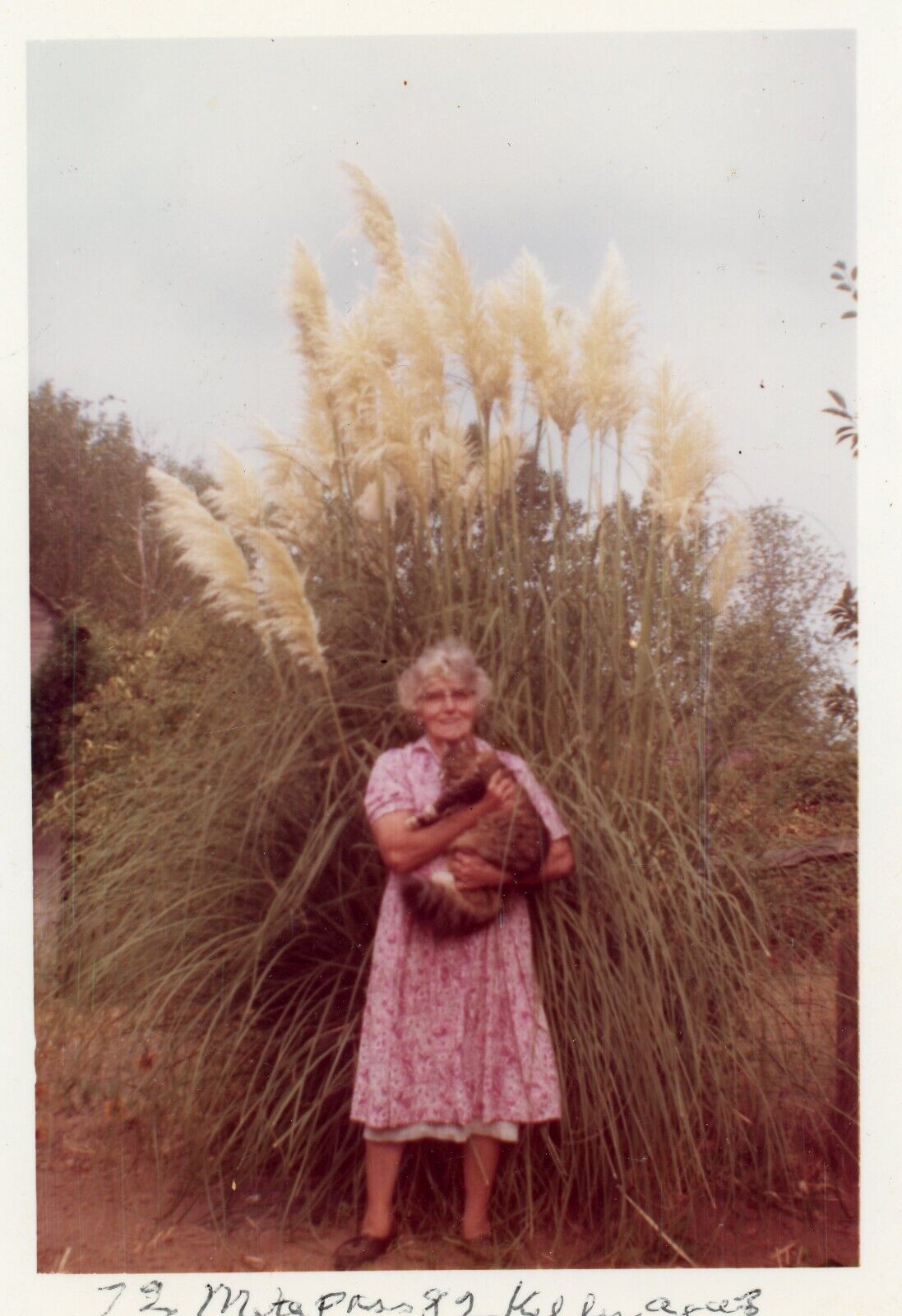 Found Photo Older Woman Holding Cat Tall Plant Original Vintage 1960s
