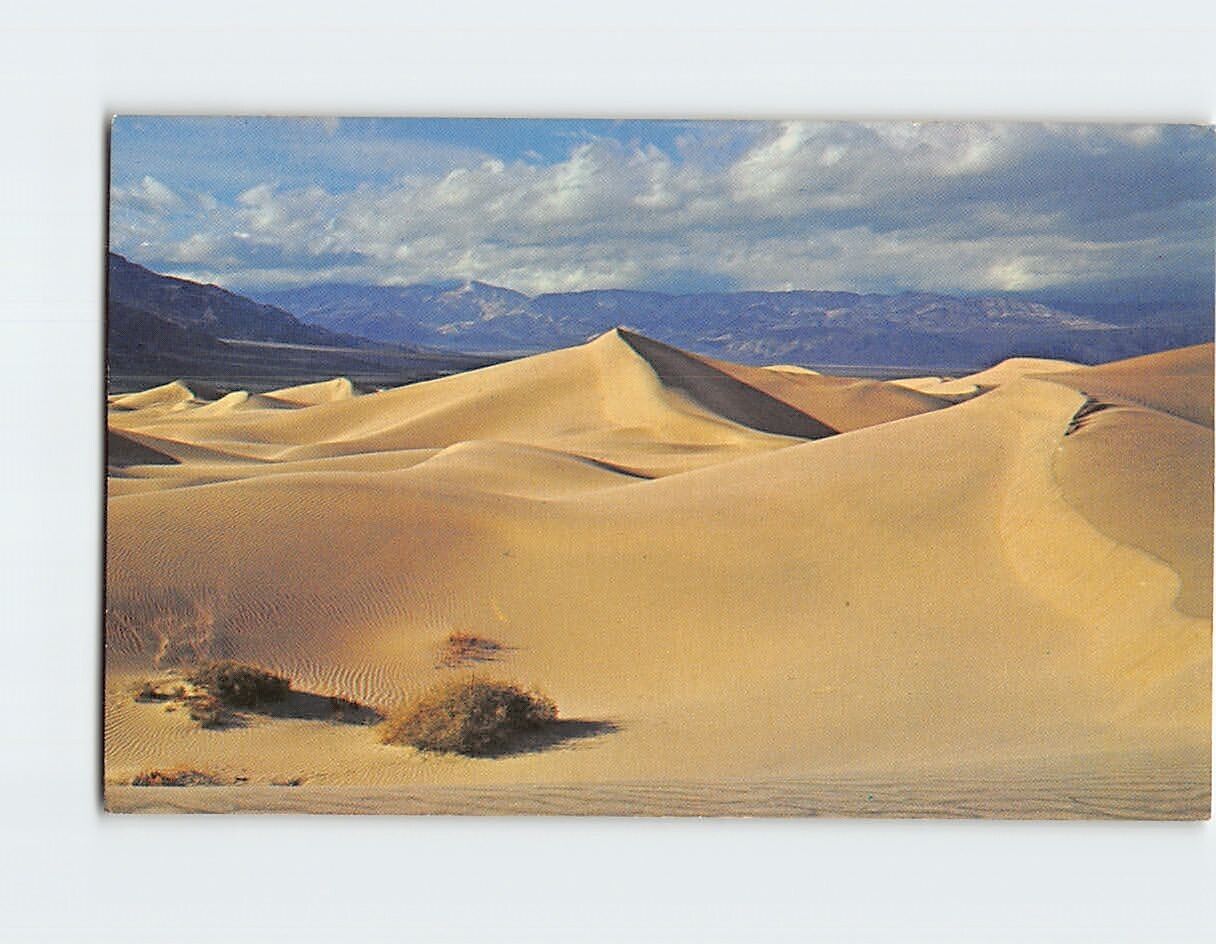 Postcard Wind-formed sand dunes of Death Valley National Monument