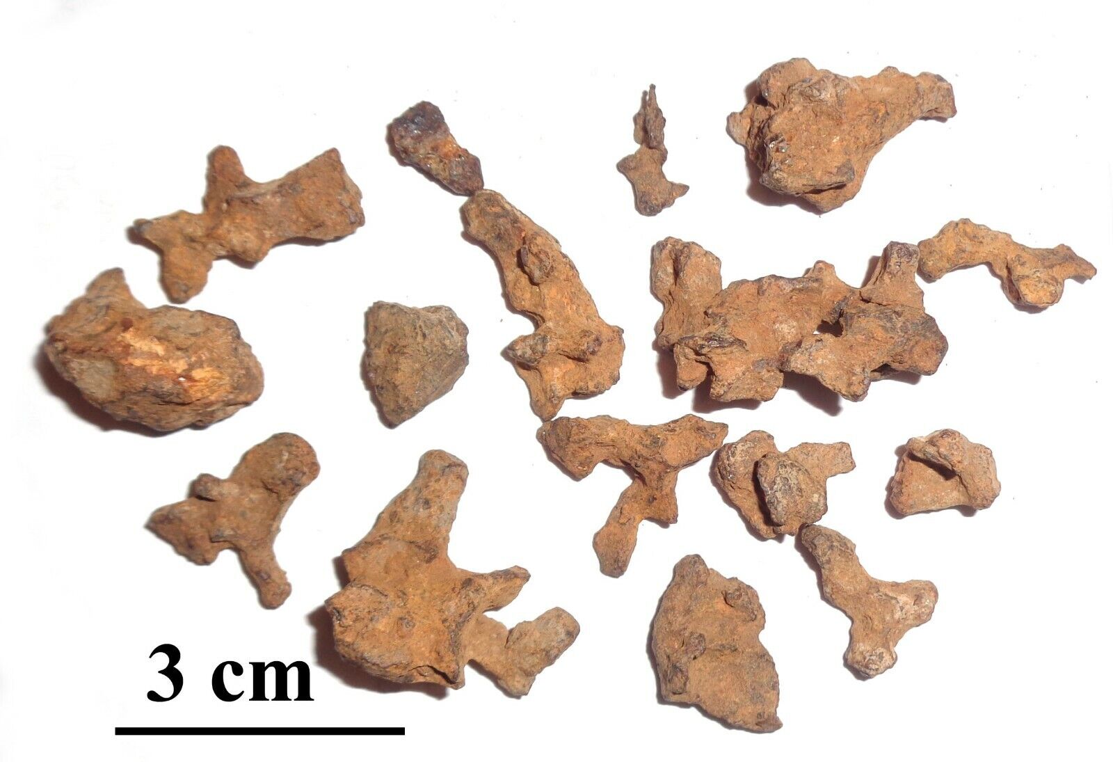 RARE Meteorite Sericho, pallasite, Kenya, lot of small individuals, 56 grams