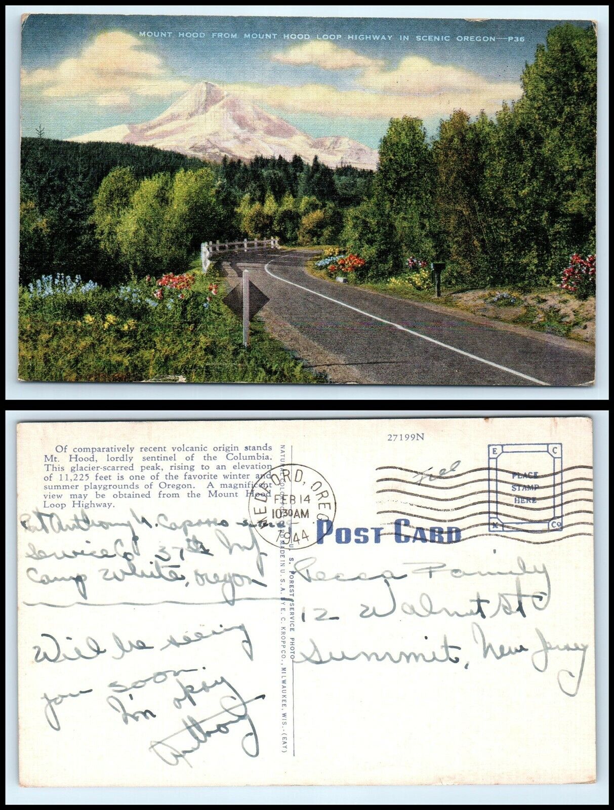 OREGON Postcard - Mount Hood, From Mount Hood Loop Highway S15
