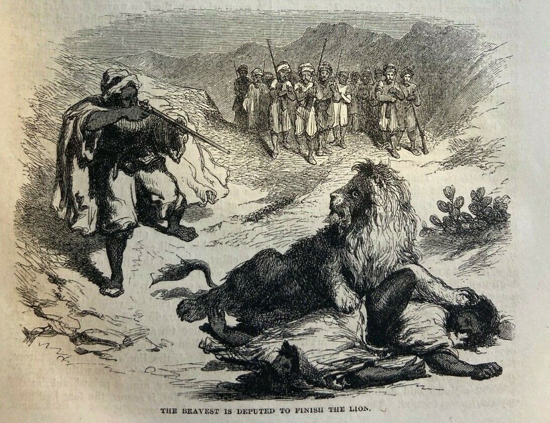 1856 Lion Slayers and Man Eaters illustrated