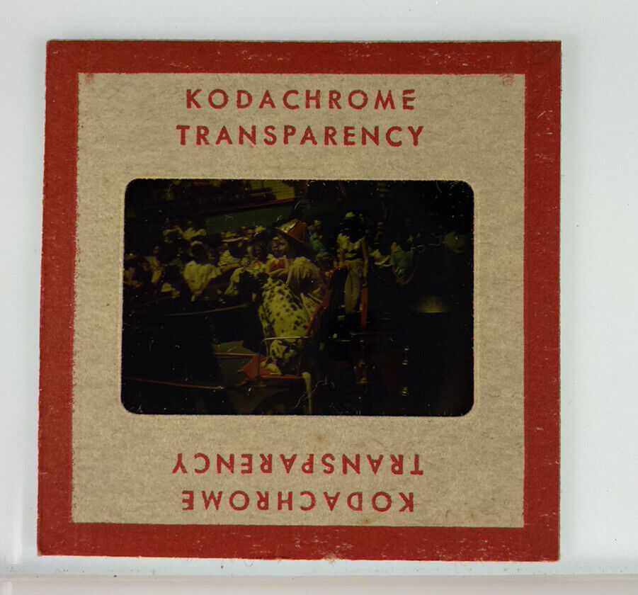 Vintage Kodachrome Transparency Original 35 mm Photo Dalmation Parade H