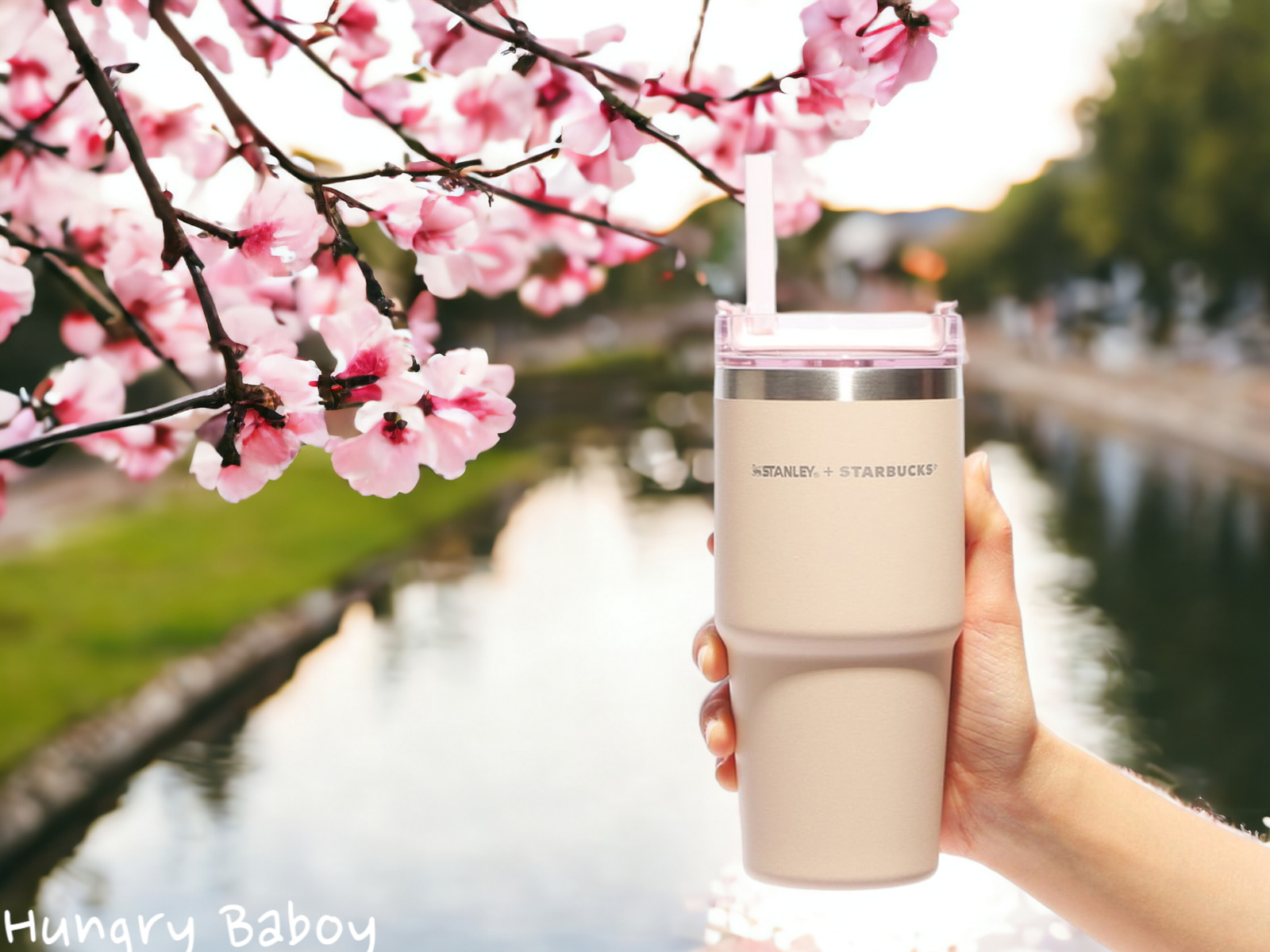 Starbucks Japan Stanley SAKURA 2024 V2 Cherry Blossom Tumbler - U.S. Seller