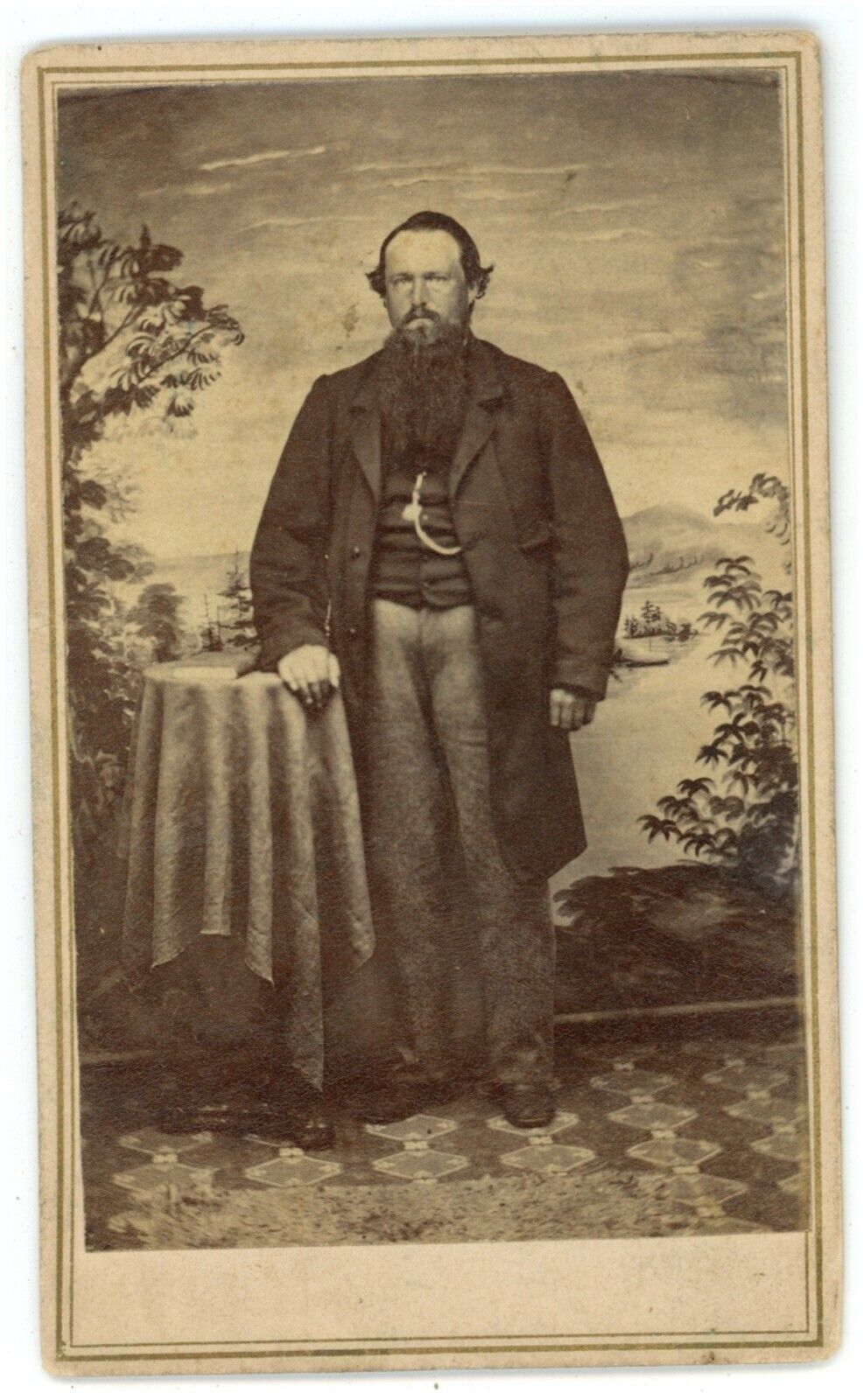 Antique CDV Circa 1860s Handsome Man Long Beard in Suit Hand Painted Backdrop