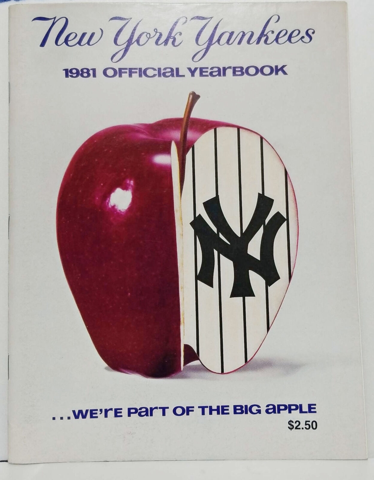 NEW YORK YANKEES MLB BASEBALL OFFICIAL YEARBOOK 1981