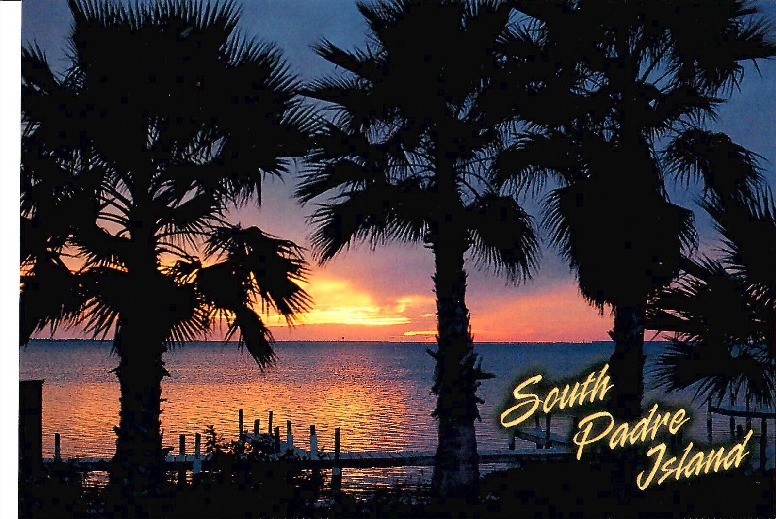 NEW Postcard South Padre Island Texas palm trees 4x6 Postcrossing Collector