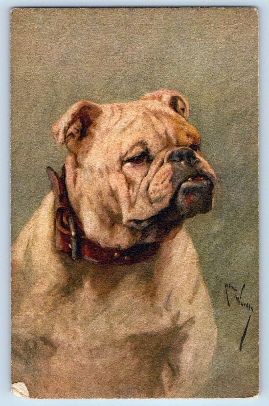 Signed Artist Postcard Bulldog Dog Animal Art c1910's Posted Antique