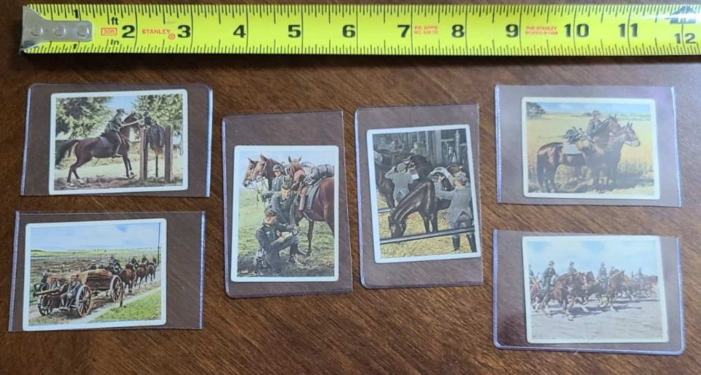 Lot Of 6 Tobacco Trading Cards Horse Equestrian Themed WW1 Or WW2 German