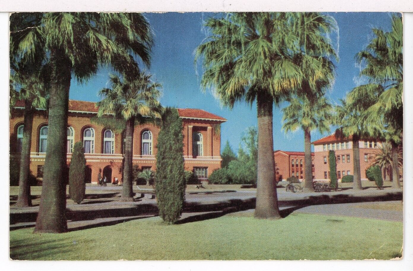 1953 - University of Arizona Campus, Tucson AZ Universities Postcard